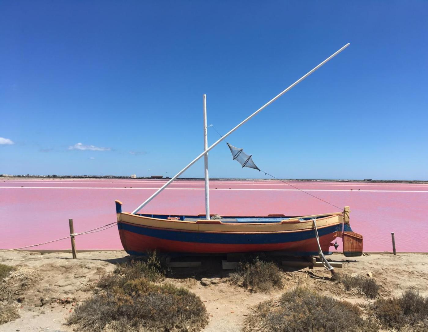 Maison De Vacances 8 A 15 Pers A Proximite Du Canal Du Midi Sallèles-dʼAude Dış mekan fotoğraf